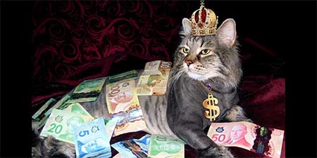Cat CAd money banking